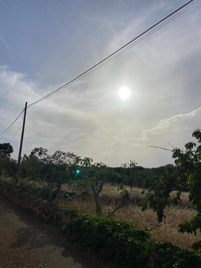 Il Villino di GRAZIO Villa Monopoli Esterno foto